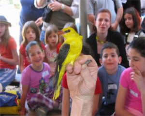 67282-hevra-lehaganat-hateva-bird.jpg טיולים לראש השנה