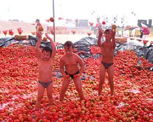 69430-tomatofestival.jpg פסטיבל העגבניה 2007