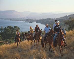 תחרויות סוסים בורד בגליל