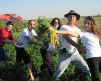 731-habasor.JPG סוכות בחבל הבשור