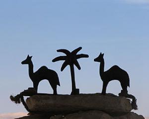 73298-dezert.jpg פסטיבל התמר 2007