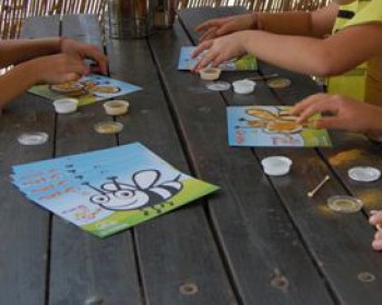 פעילות סוכות בדבורת התבור