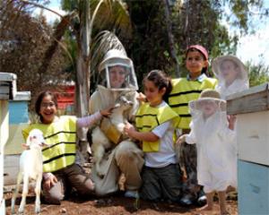 74978-dvorat-hatavor.jpg מכון רדיית דבש