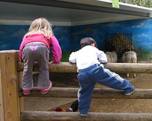 85688-kidsonfans.jpg שביתה?