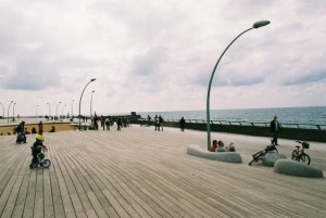 86898-19343-namal.jpg סוכות בנמל תל אביב