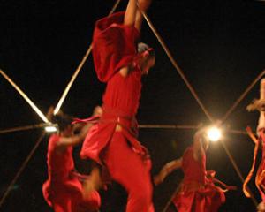 87085-vertigo-phoenix.jpg שיטוף פעולה