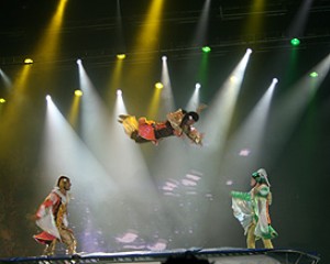 87168-festigal2008-1.jpg פסטיגל 2008