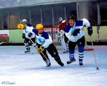 99619-hoky.jpg אליפות הארץ בהוקי קרח
