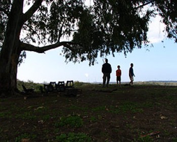 99668-family-trips.jpg צעדת בנימינה