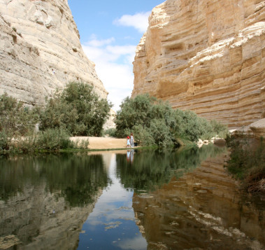 עין עבדת מסלול מומלץ לילדים בדרום