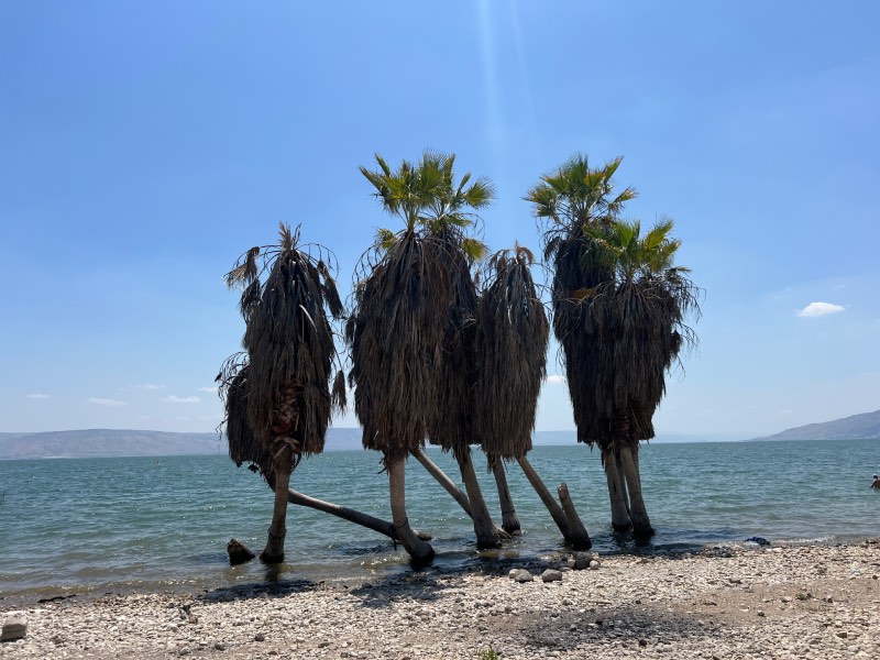 חוף חוקוק צפון