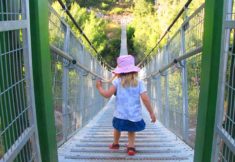 מסלול-הגשרים-התלויים-נשר