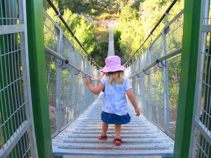 מסלול-הגשרים-התלויים-נשר מסלול הגשרים התלויים בנשר