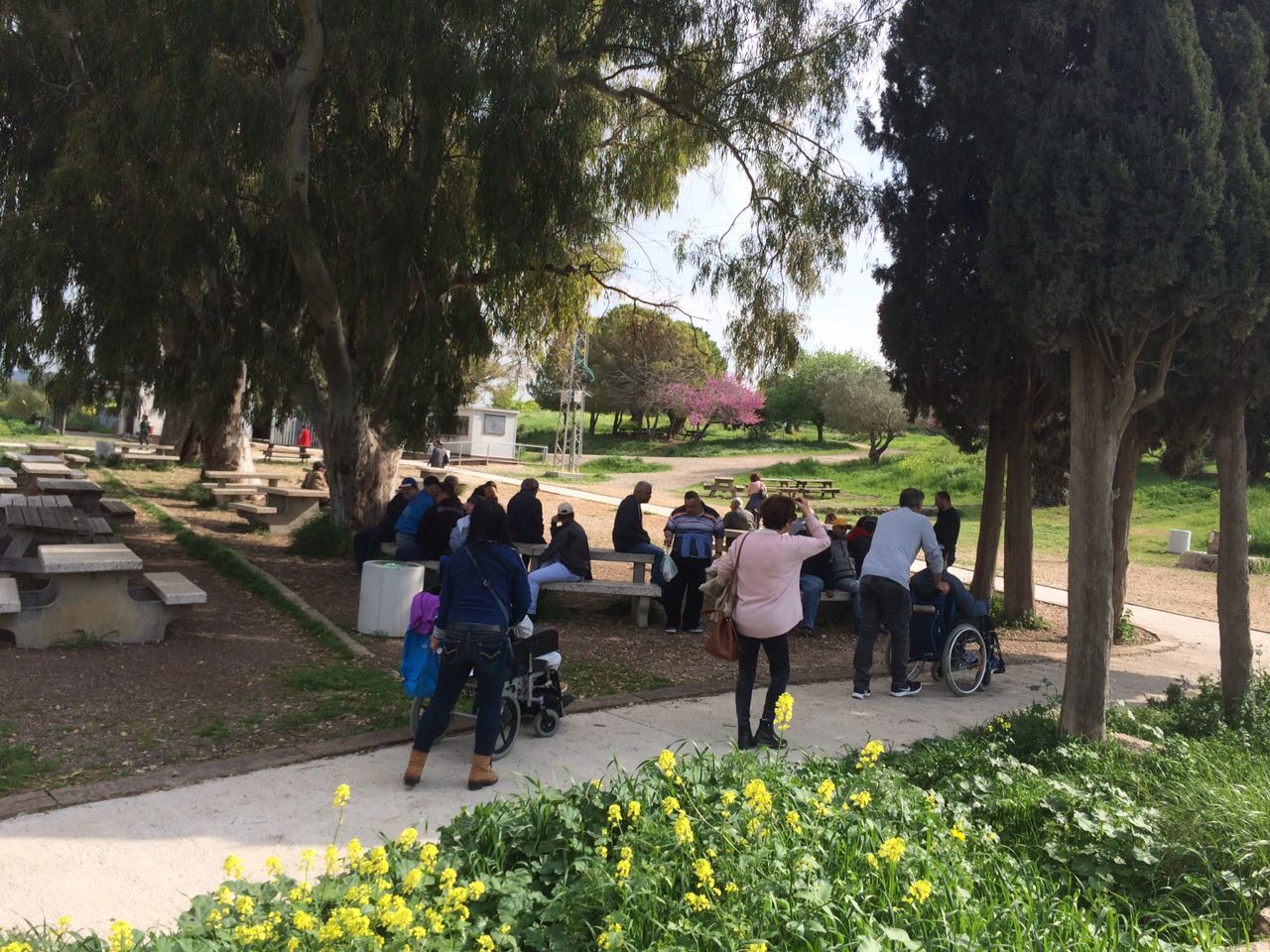 שבילים מונגשים בשמורת טבע עין אפק - צילמה ג'יזל חזן, רשות הטבע והגנים.