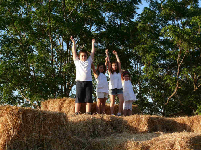 פעילויות לילדים בשבועות בחווה בתל אביב, רעיונות לבילוי בשבועות 2015