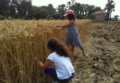 PARK ARIEL SHARON