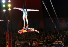 CIRCUS