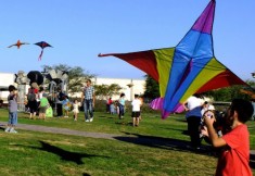 kite