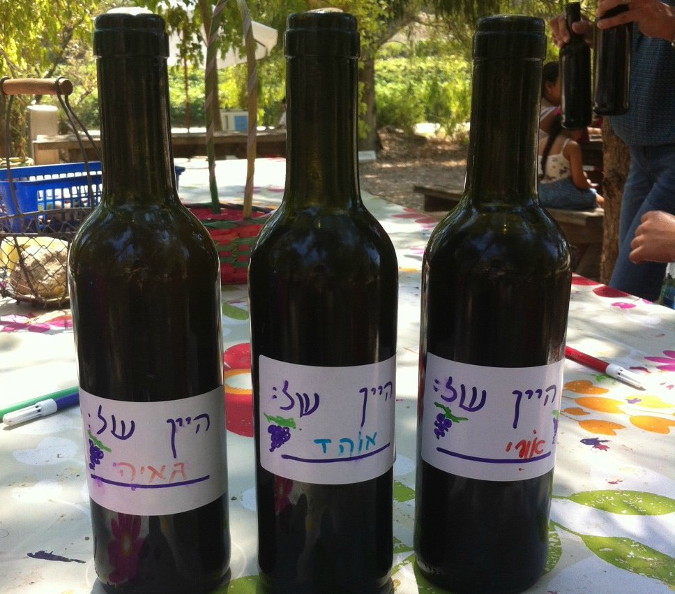 פסטיבל בוצרים ונהנים ביקב יפתחאל. צילום: אדווה אופיר