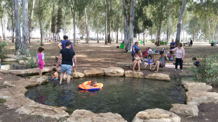 גן לאומי מקורות הירקון אפק, רשות הטבע והגנים