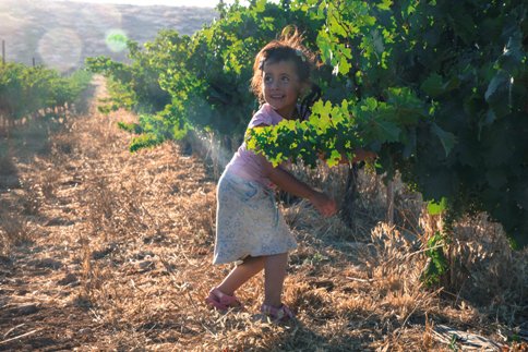 פסטיבל בציר ושיר בחבל יתיר. צילום: נועם פיינר