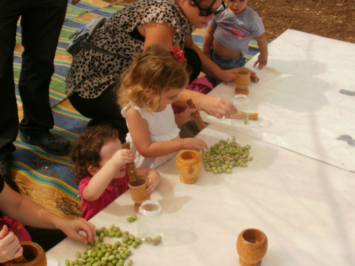פעילות לילדים לסוכות בחווה בתל אביב