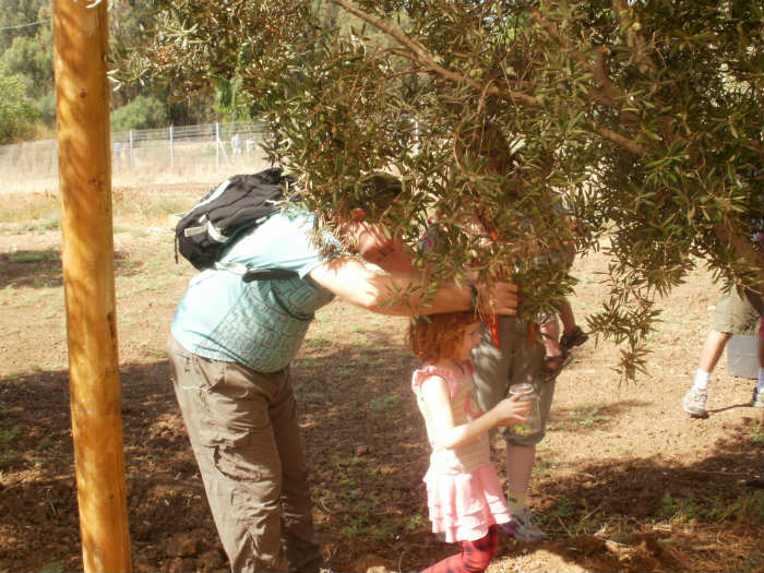 פעילות לילדים לסוכות בחווה בתל אביב