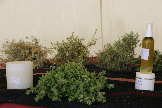 צמחי תבלין, צמחי מרפא מהנגב