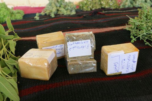 קוסמטיקה מצמחי מדבר