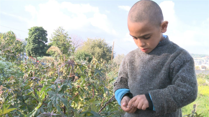 מתוך הסרט 22 אגורות. פסטיבל דוקאביב 2015