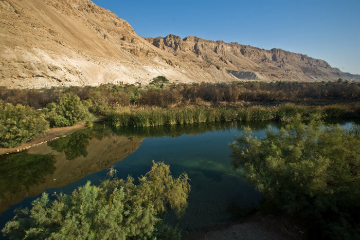 עיינות צוקים. צילום: דורון ניסים