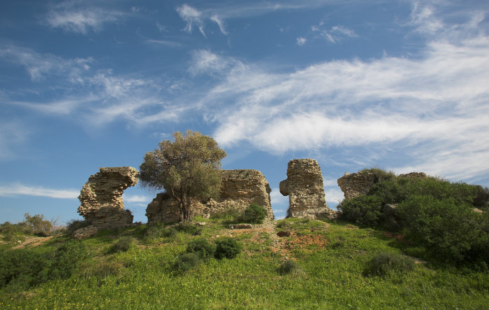 הגן הלאומי באשקלון. צילום: דורון ניסים