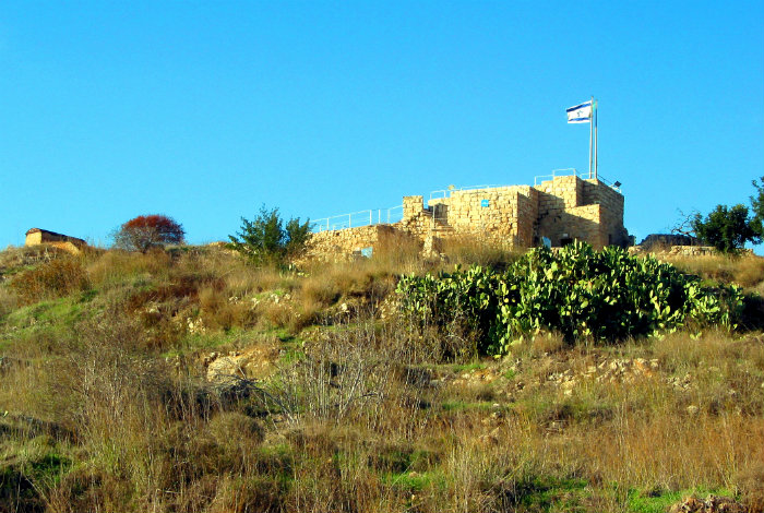 שמורת הטבע קסטל. צילום: דורון ניסים