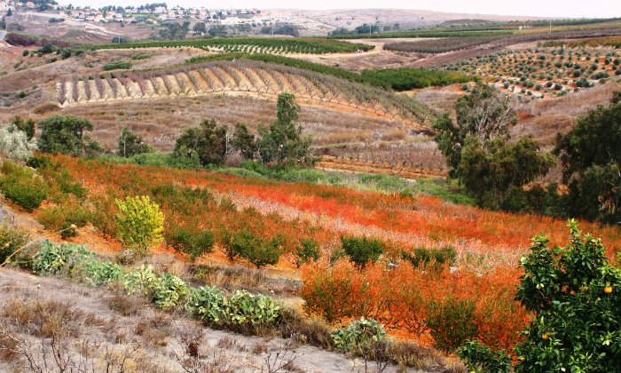 סיור שלכת. צילום: בית שלום במטולה