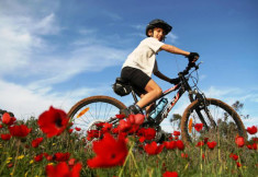 bike-flowers