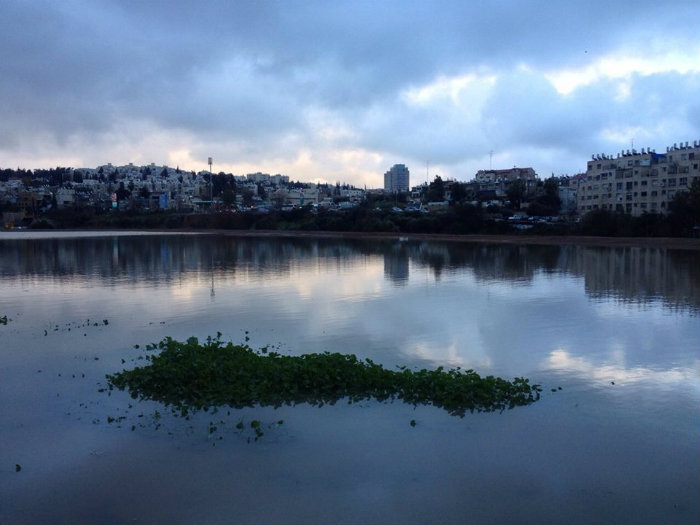 עמק הצבאים. צילום: עמיר בלבן