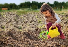 tu bishvat bachava