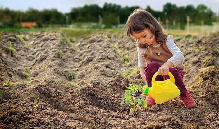 tu bishvat bachava