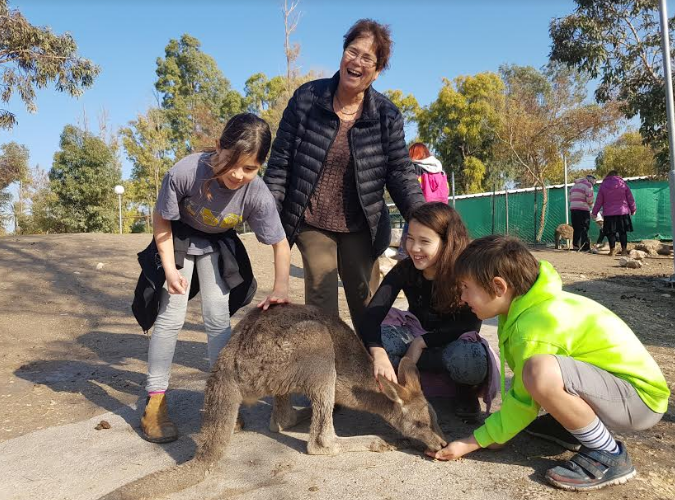 אטרקציה חדשה לילדים בצפון: מבוך גן גו יורה בגן גורו. 