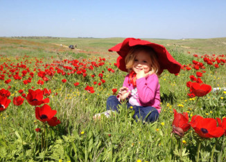 אז מה עושים עם הילדים בסופש? טיולים לשבת עם הילדים - כלניות בדרום