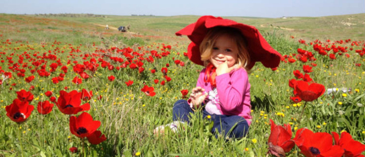 אז מה עושים עם הילדים בסופש? טיולים לשבת עם הילדים - כלניות בדרום