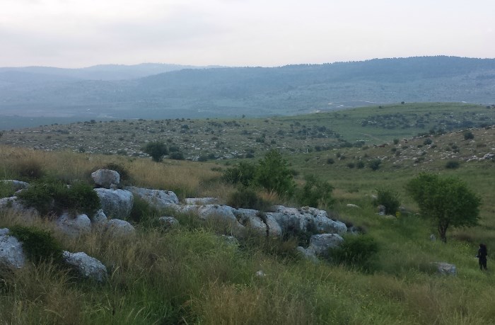 ניווט בגבעות - צילום רועי גוטמן