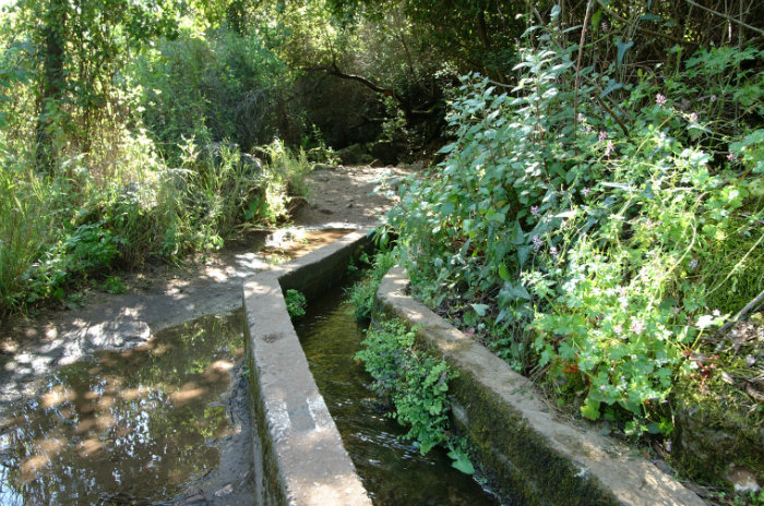 נחל עמוד. צילום: דורון ניסים