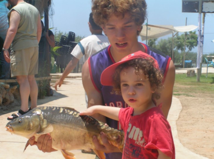 צילום: עופר שנער