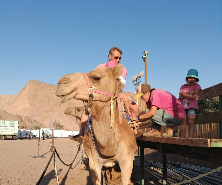 CAMEL-RANCH-EILAT-4