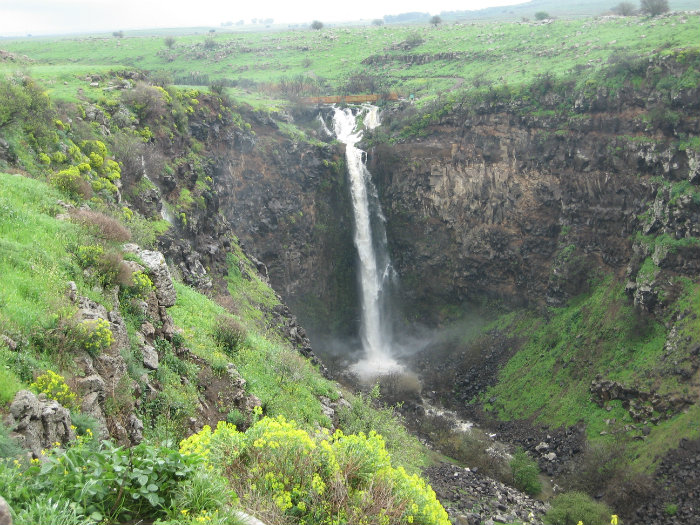 gamla-רועי-שטראוס