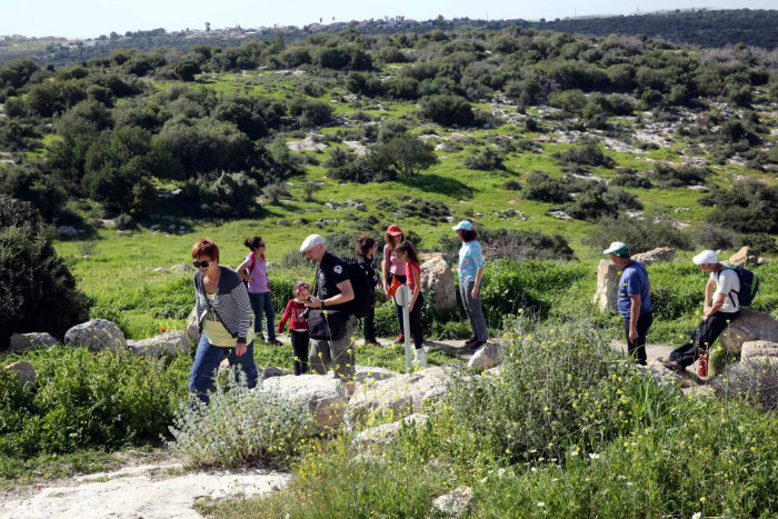 צילום: קק"ל