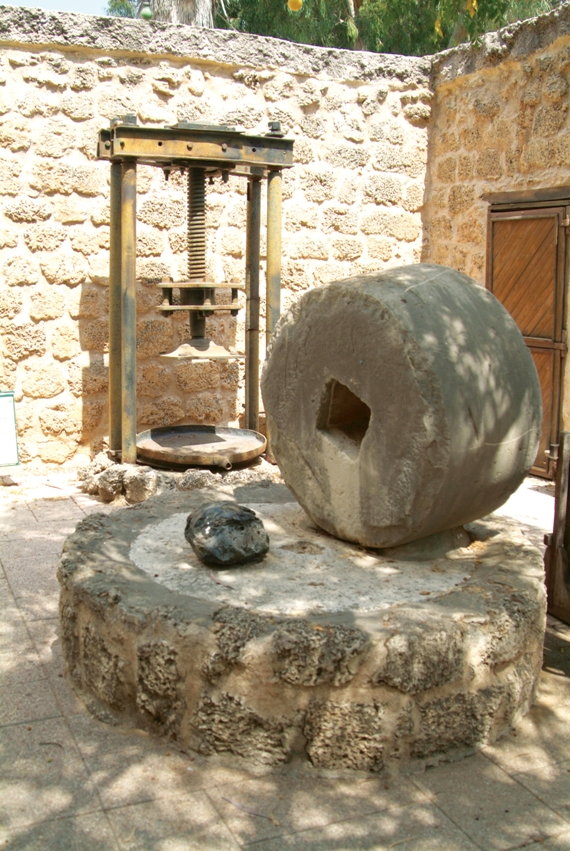 פסח במוזיאון החאן.