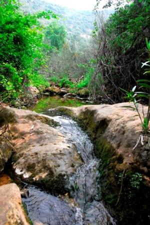 נחל בצת צילום: שרית עוזיאלי