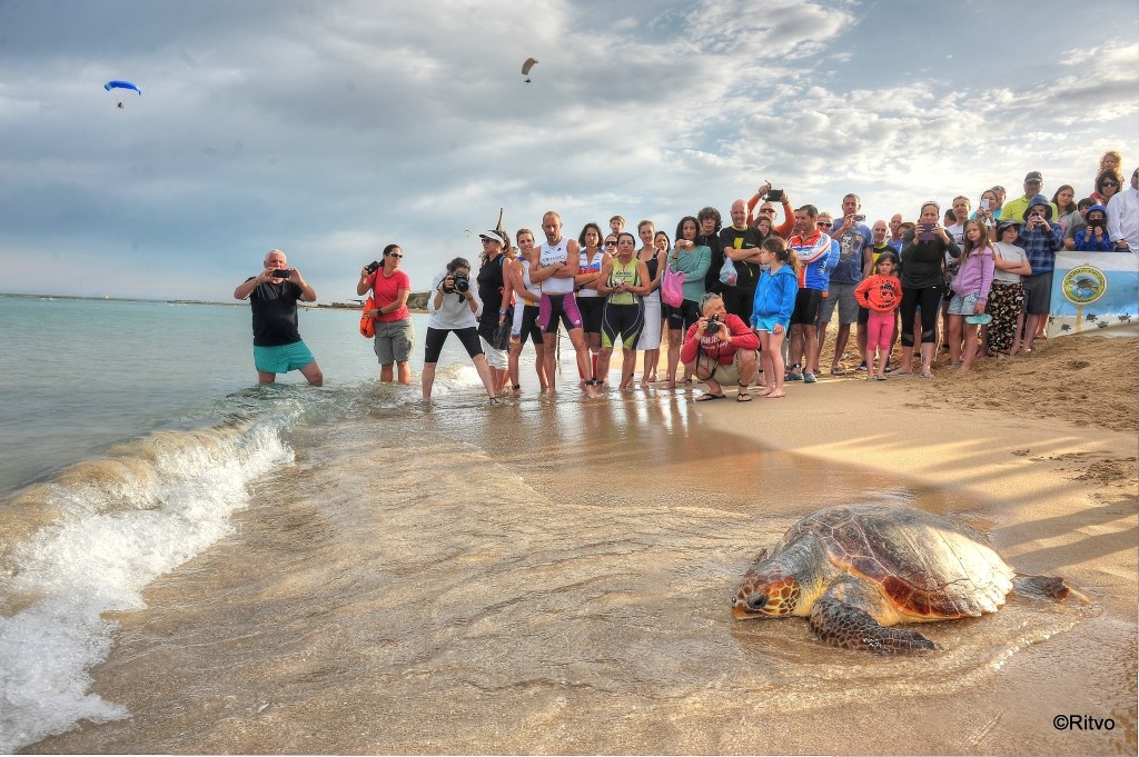 צילום : דורית ריטבו